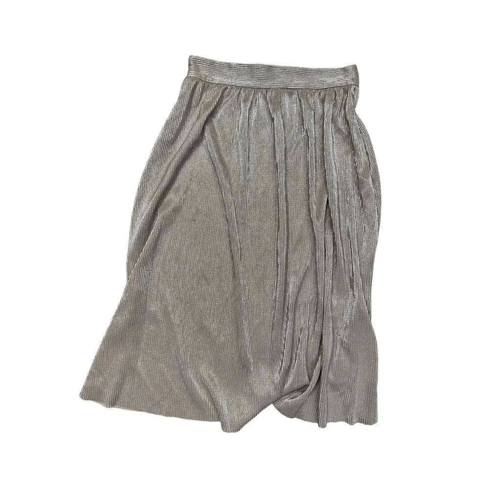 Who‎ What Wear Skirt  Size 4 Metallic Pleated Shimmer Chic Glam